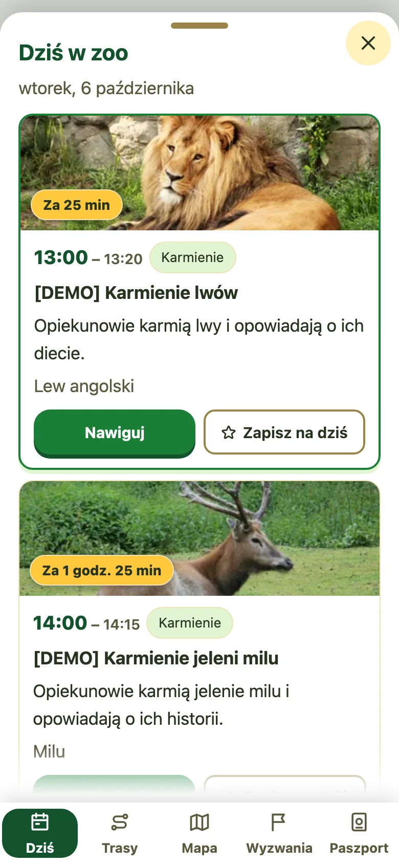 Zakładka Dziś w aplikacji ZooQuest — wydarzenia demonstracyjne