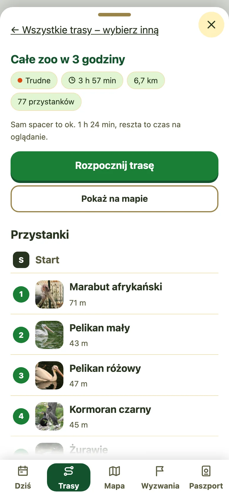 Trasy zwiedzania w aplikacji ZooQuest — dane demonstracyjne Śląskiego zoo